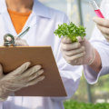 Is food science a good career?