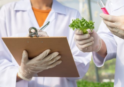 What is a career in food science?
